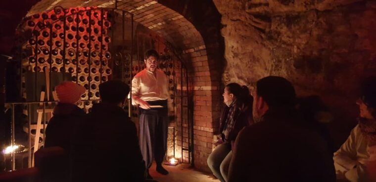 aranda-de-duero-wine-tasting-course-with-iberian-tasting