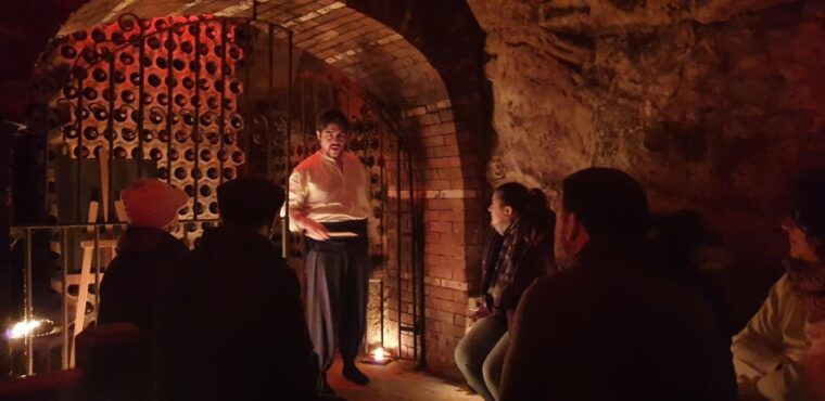 aranda-de-duero-wine-tasting-course-with-iberian-tasting