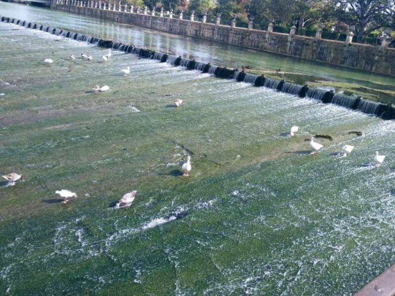 aranjuez-city-and-gardens-guided-walking-tour
