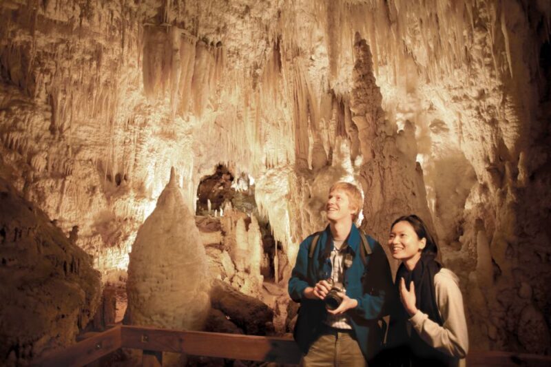 Aranui Cave 1-Hour Guided Tour - Key Points