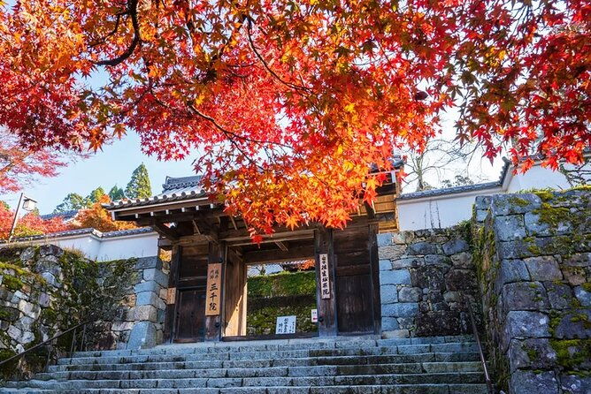 arashiyama-autumn-leaves-sanzen-in-temple-tour-from-osaka-kyoto