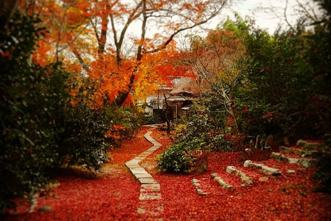 arashiyama-bamboo-forest-hidden-gems-bike-tour-early-bird