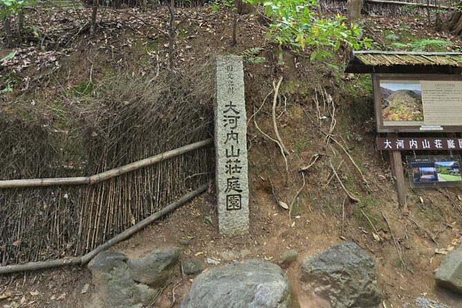 Arashiyama Half Day Tour - What Travelers Say: Authentic Insights