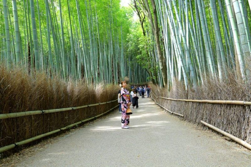 arashiyama-highlights-with-matcha-experience