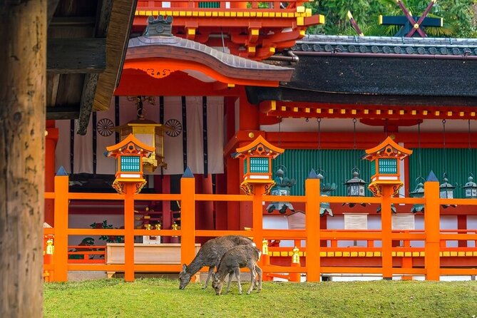 arashiyama-nara-highlights-one-day-private-tour-adventure