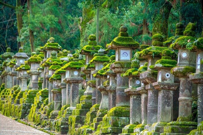 arashiyama-nara-highlights-one-day-private-tour-adventure