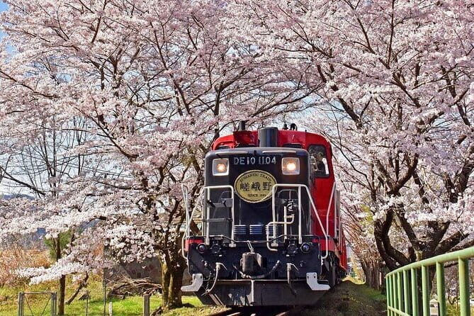 Arashiyama Sagano Romantic TrainFushimi Inari Taisha & Nara Park - Exploring the Itinerary in Detail