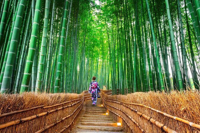 Arashiyama Sanzen-In Temple & Sagano Train Tour from Osaka - An In-Depth Look at the Tour Experience