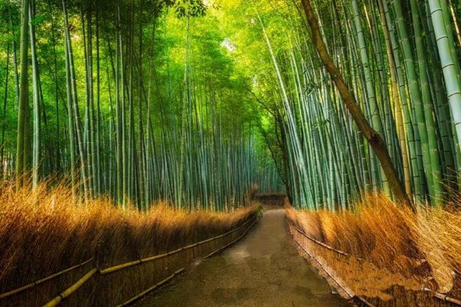arashiyama-sanzenin-and-bamboo-forest-day-tour-from-kyoto-osaka
