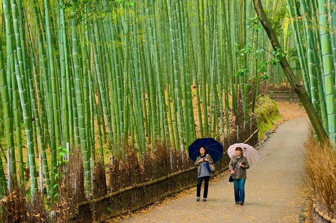 arashiyama-yasaka-shrine-hanamikoji-todaiji-day-tour-from-osaka