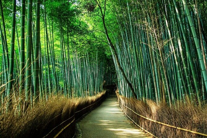 arashiyama-yasaka-shrine-nara-todaiji-day-trip-from-osaka