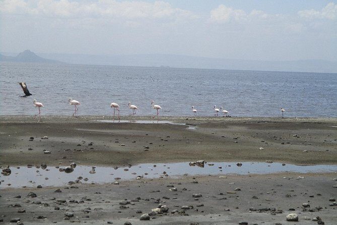 Arba Minch, Dorze Tribe, Konso, and Awasa Private 4 Days Tour from Addis Ababa - Final Thoughts: Who Will Enjoy This Tour?