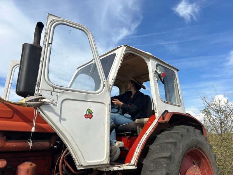 Arbanasi: 40-Minute Tractor Self-Driving Experience - What is the Tractor Self-Driving Experience?