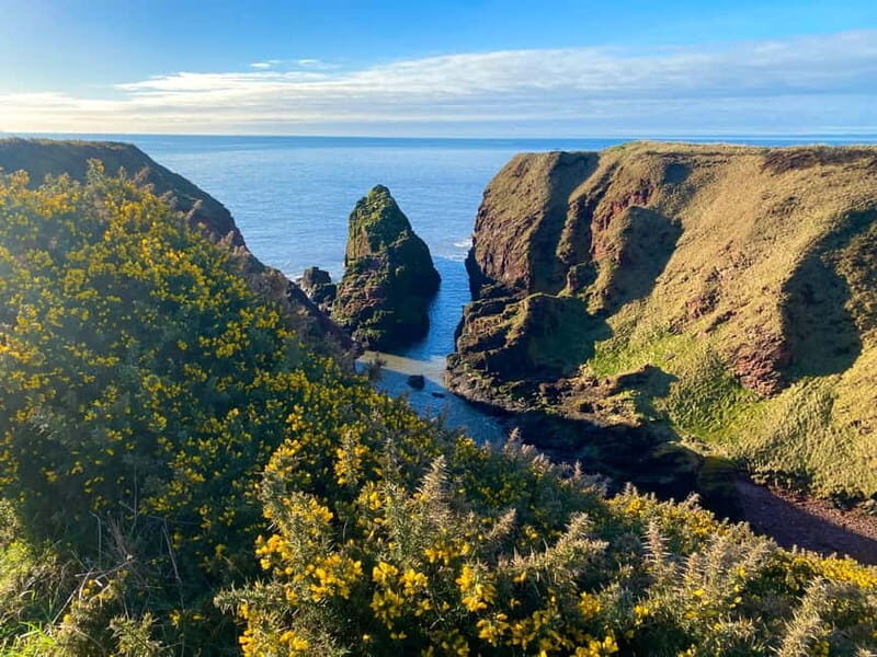 Arbroath: Seaton Cliffs Guided Walking Tour with Geologist - Discovering the Arbroath: Seaton Cliffs Guided Walking Tour with a Geologist
