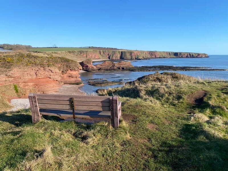 Arbroath: Seaton Cliffs Guided Walking Tour with Geologist - Key Points