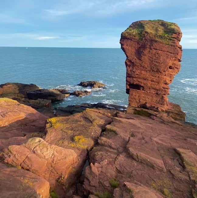 Arbroath: Seaton Cliffs Guided Walking Tour with Geologist - What Sets This Tour Apart