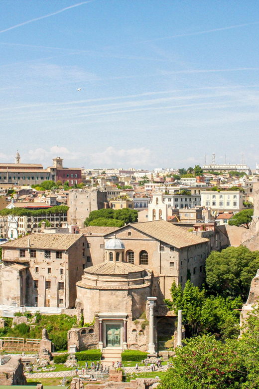 archaeo-rome-guided-tour-the-roman-forum-palatine-hill