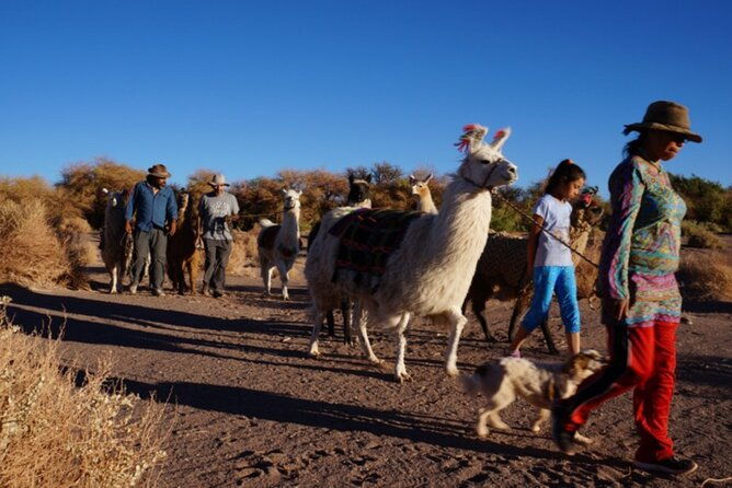 archaeological-experience-in-atacama-tulor-and-quitor