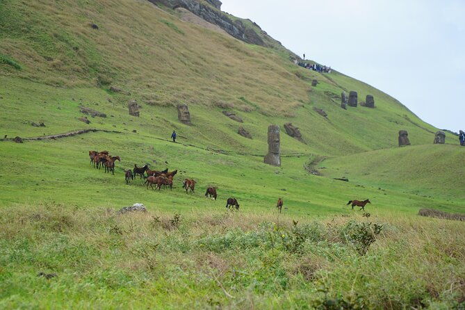 archaeological-horseback-riding-off-the-tourist-routes-in-rapa-nui