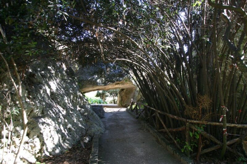 archaeological-syracuse-neapolis-park-private-tour