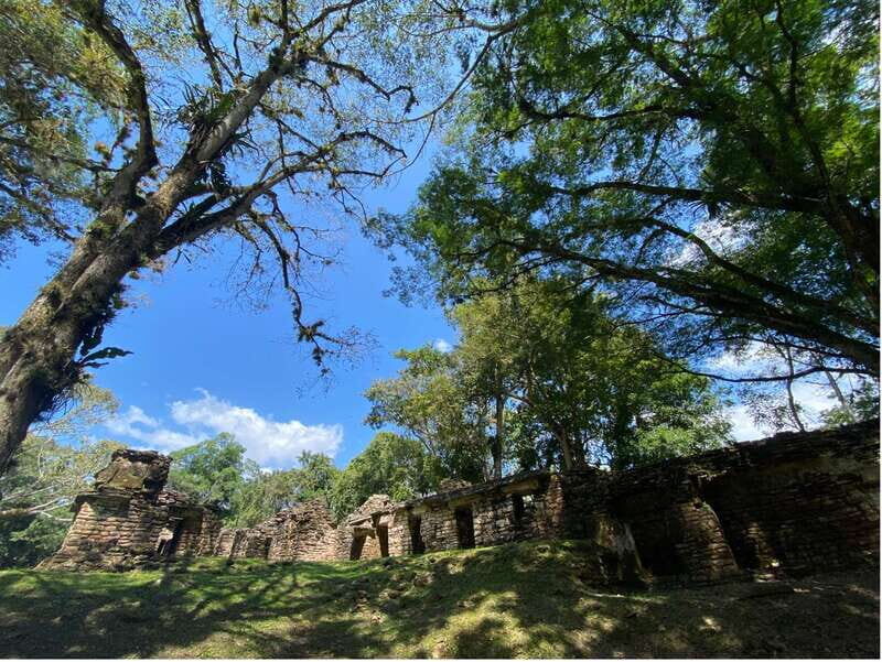 Archaeological Zones Yaxchilan & Bonampak - Detailed Review of the Yaxchilan & Bonampak Archaeological Tour  