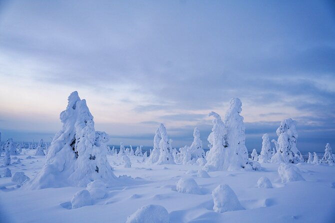 arctic-adventure-through-magical-frozen-forests-of-riisitunturi