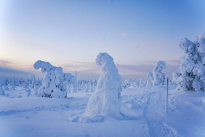 arctic-adventure-through-magical-frozen-forests-of-riisitunturi