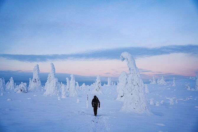 arctic-adventure-through-magical-frozen-forests-of-riisitunturi