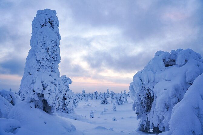 arctic-adventure-through-magical-frozen-forests-of-riisitunturi
