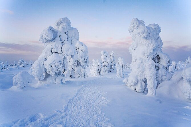 arctic-adventure-through-magical-frozen-forests-of-riisitunturi