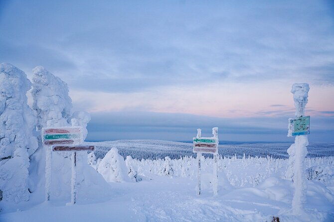 arctic-adventure-through-magical-frozen-forests-of-riisitunturi