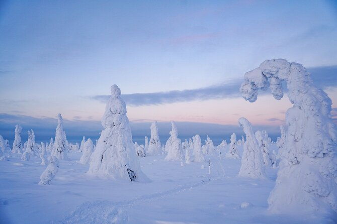arctic-adventure-through-magical-frozen-forests-of-riisitunturi