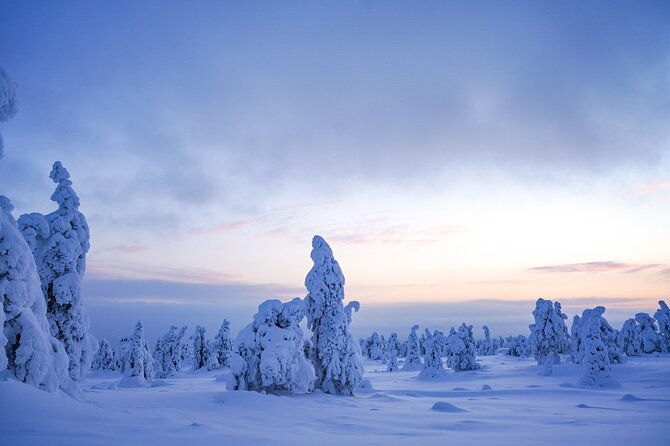 arctic-adventure-through-magical-frozen-forests-of-riisitunturi