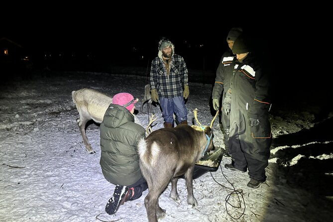 arctic-adventure-with-reindeer-and-northern-lights-hunt-1830-pm-2