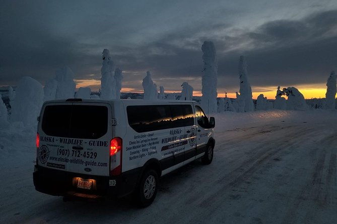 arctic-circle-and-northern-lights-tour-from-fairbanks