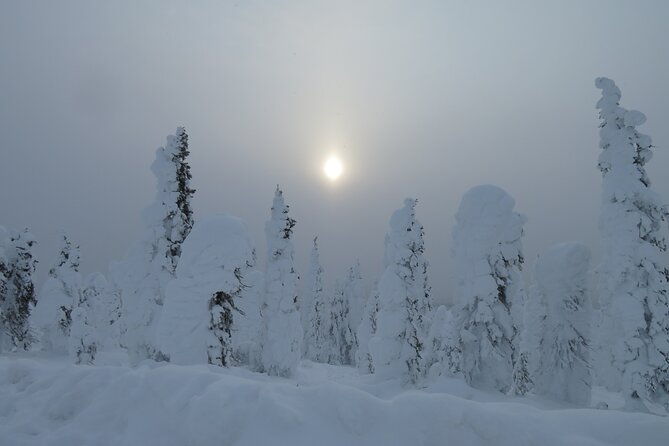 arctic-circle-aurora-drive-adventure