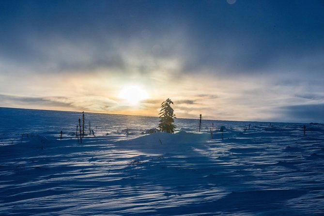 arctic-circle-aurora-drive-adventure