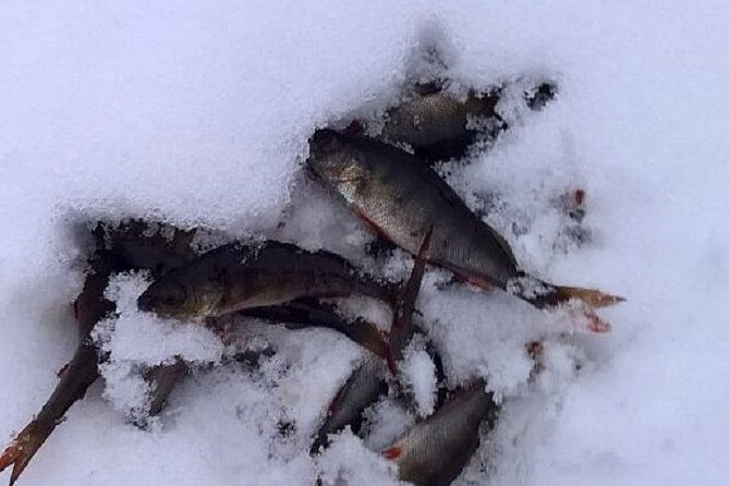 arctic-day-with-ice-fishing-and-floating-3