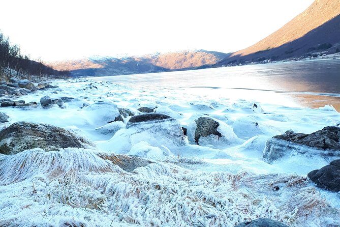 Arctic fjord and Landscape Tour - Practical Tips for Travelers
