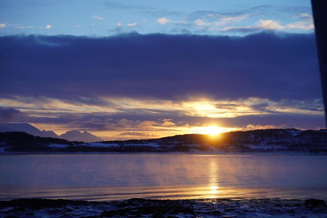 Arctic fjord and Landscape Tour - Who Will Appreciate This Tour?