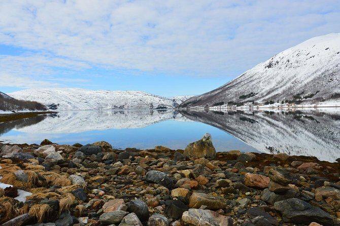 Arctic fjord and Landscape Tour - FAQs