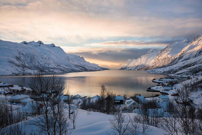 arctic-fjord-sightseeing-by-minibus