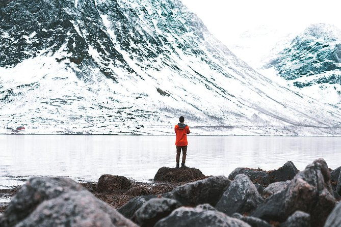 arctic-fjord-sightseeing-by-minibus