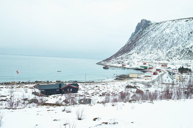 arctic-fjord-sightseeing-by-minibus