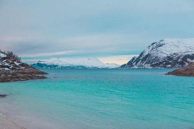 arctic-fjord-sightseeing-by-minibus