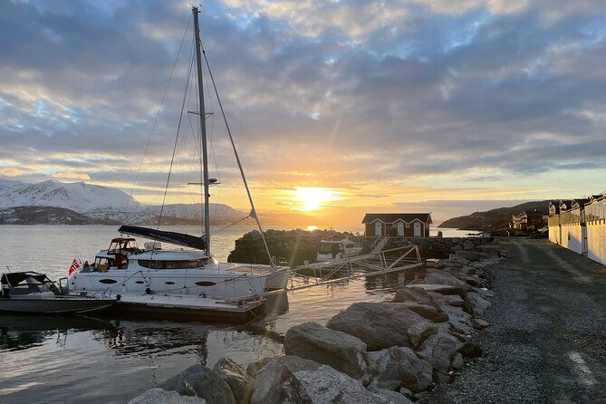 arctic-fjordcruise-safari-in-tromso-with-luxury-catamaran