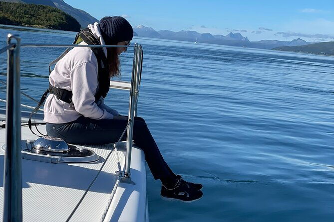 arctic-fjordcruise-safari-in-tromso-with-luxury-catamaran