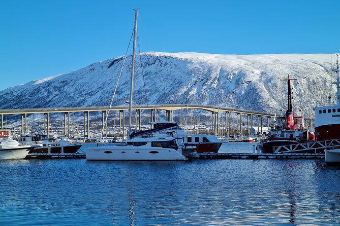 arctic-fjordcruise-safari-in-tromso-with-luxury-catamaran