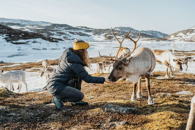 arctic-fjords-and-reindeer-experience-small-group-tour