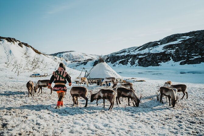 arctic-fjords-and-reindeer-experience-small-group-tour